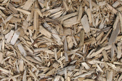 biomass boilers Padbury