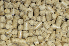 Padbury biomass boiler costs